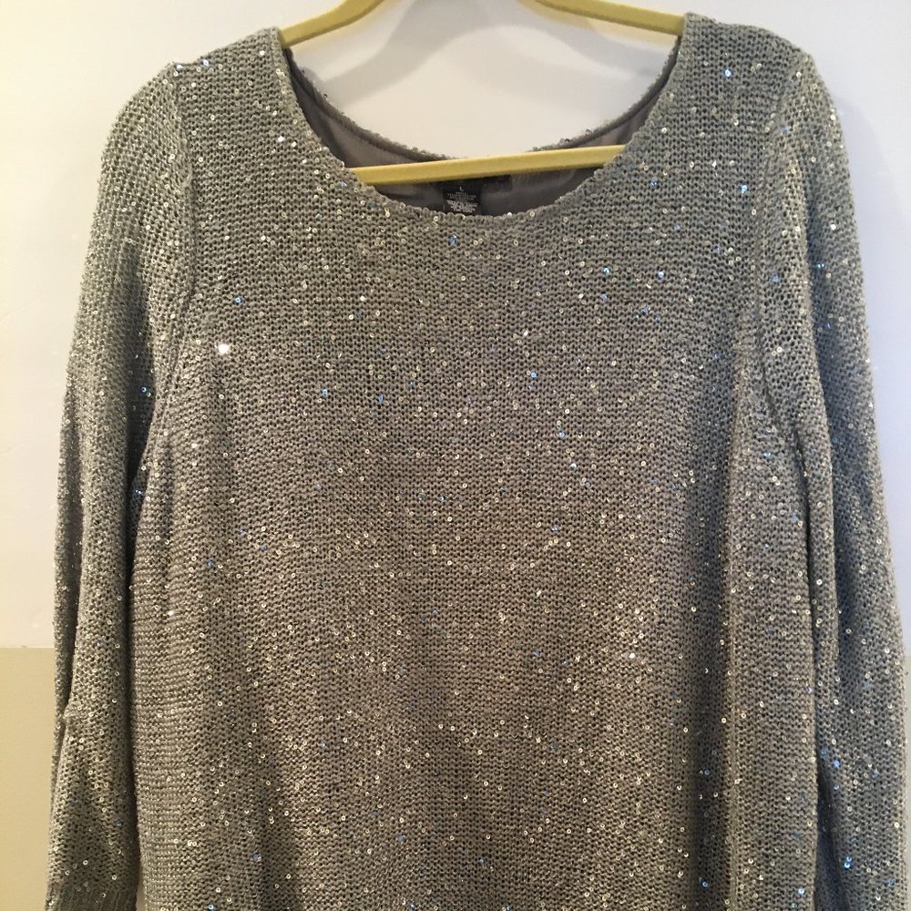 NWT CHELSEA &THEODORE  SILVER EMBELLISHED SWEATER